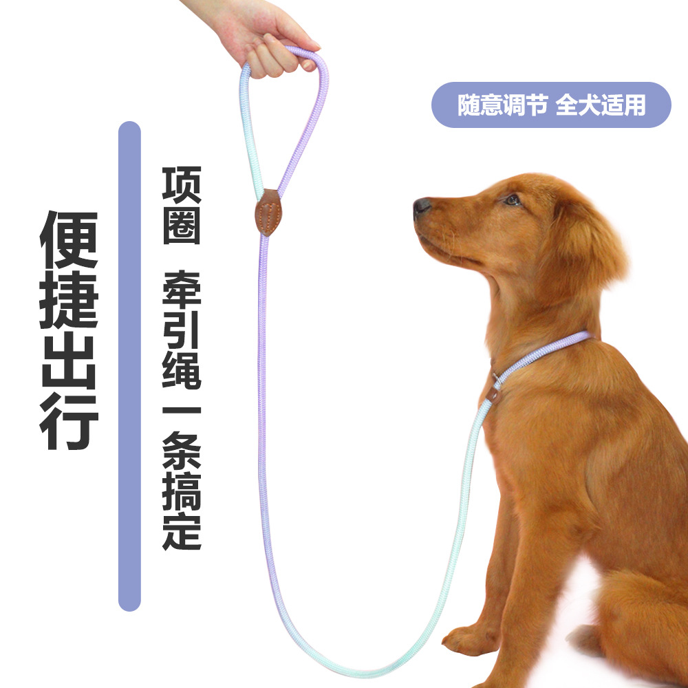 狗狗牵引实物图