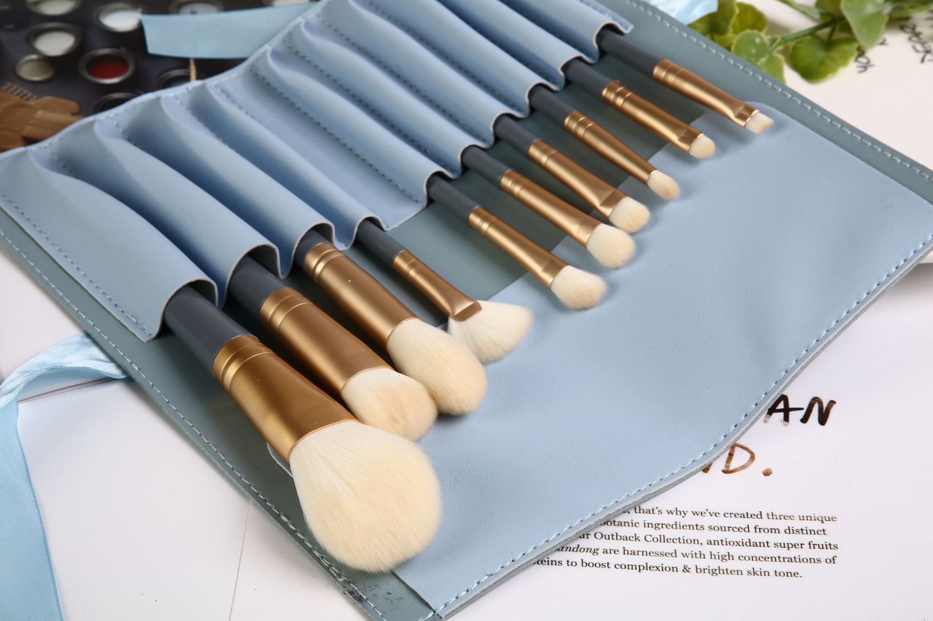 Cangzhou Lanqiao 10-piece makeup brush Set for beginners: Eyeshadow brush, loose powder brush, foundation, soft bristle brush, beauty tools