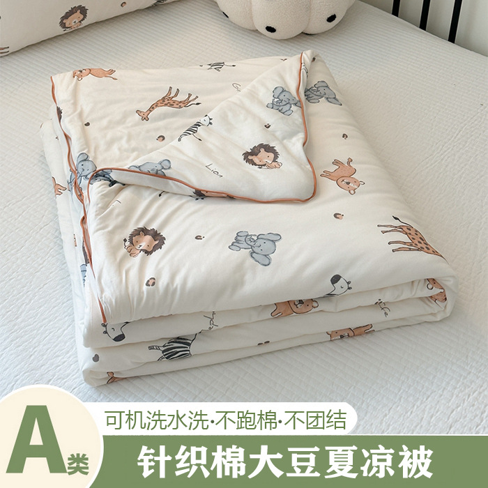 A类母婴级夏凉被可水洗被夏天儿童卡通印花幼儿园单人薄空调被子