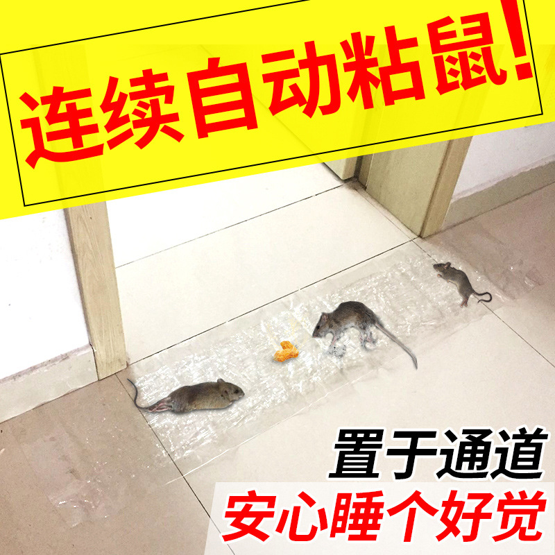 批发隐形灭鼠魔毯粘鼠板老鼠胶捕鼠器加大加厚透明粘鼠带厂家直销