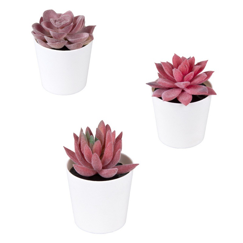 Flocked hard material, small aloe vera, mini potted plant, imitation plastic, frosted small potted plant, desktop decoration, gift, imitation succulent Item Picture