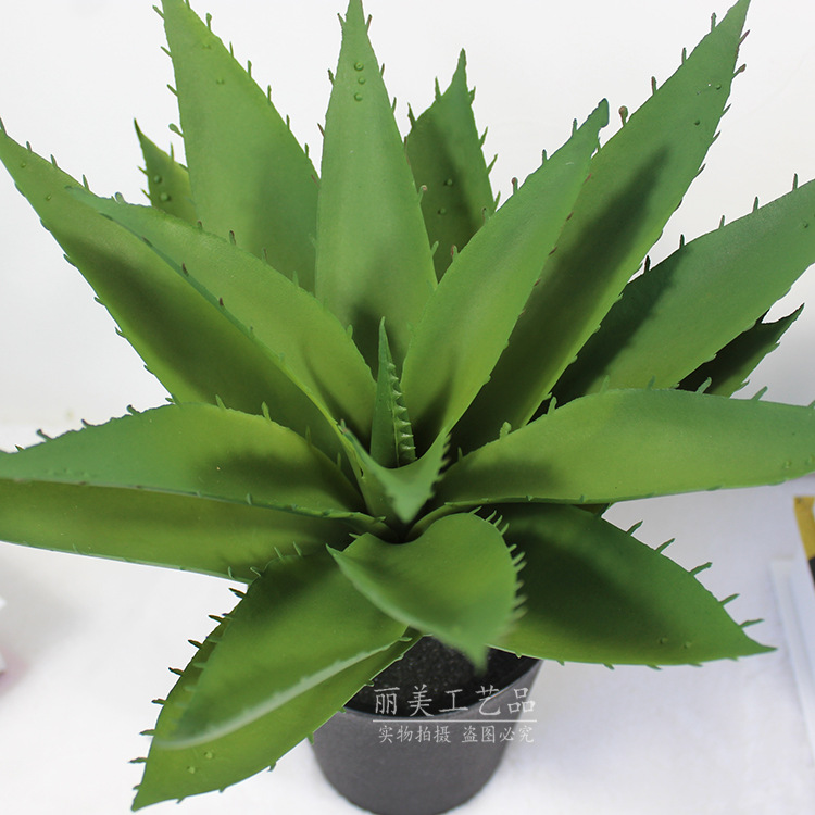 Artificial aloe vera potted plant, mini indoor decoration, artificial tree, artificial small green plant, Nordic artificial green plant ornament, reed details Picture