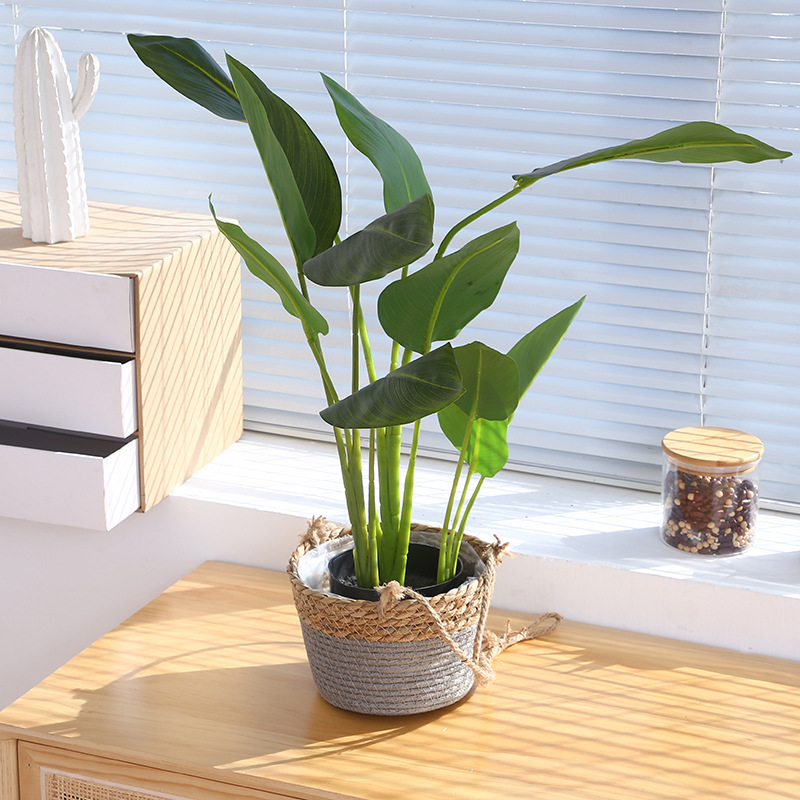 Popular Straw Flower Pot Woven Hanging Orchid Woven Hanging Basket Hand-Hung Flower Pot Woven Flower Pot Set Home Decoration Pot Basket Application Scenario