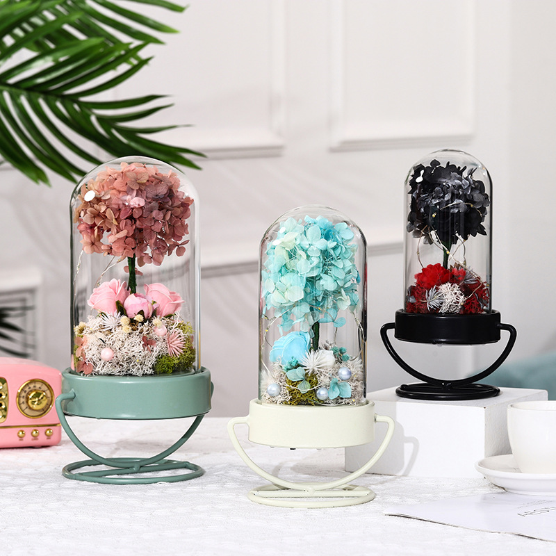 Eternal Life Flower Glass globe Cover Creative artifact glass ornaments Gift clear glass vase dust cover Item Picture