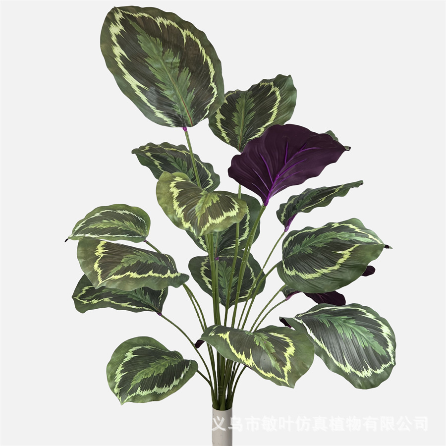 仿真植物实物图