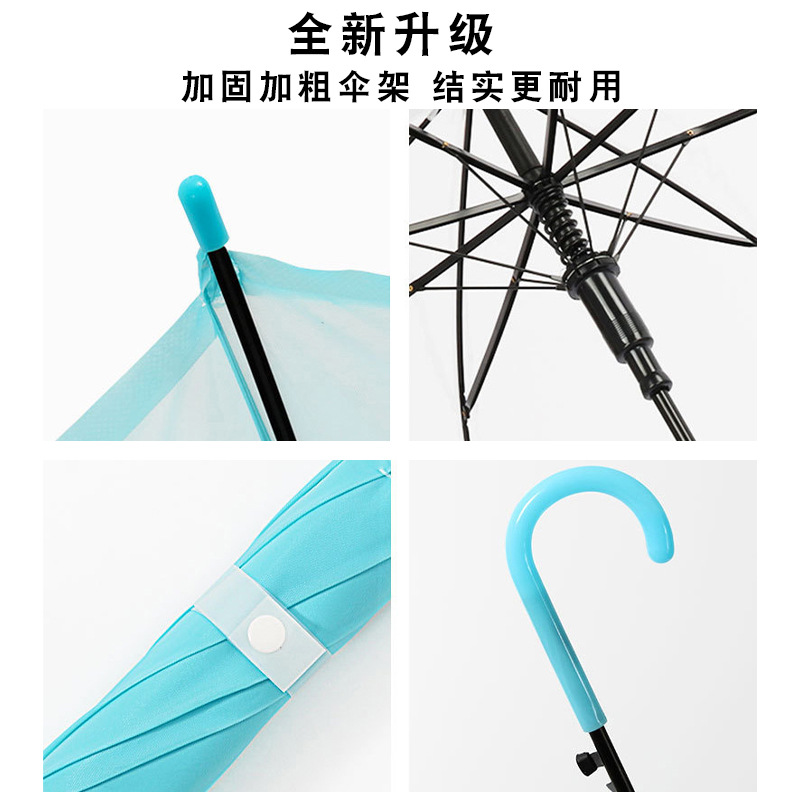雨伞实物图