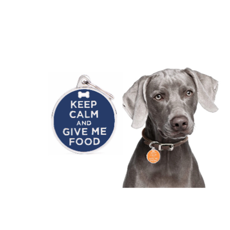 Cross-border new fashionable pet dog brand, metal dog collar, pet cat brand, anti-loss pet necklace, jewelry and accessories Specification image