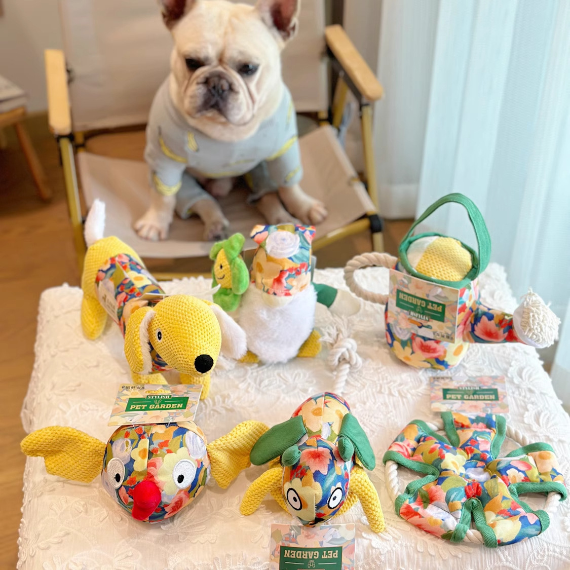 Dog toys, durable, teething, vocalizing, self-entertaining and boring, puppy Bichon Frise, Corgi and teddy companion pet products Application Scenario