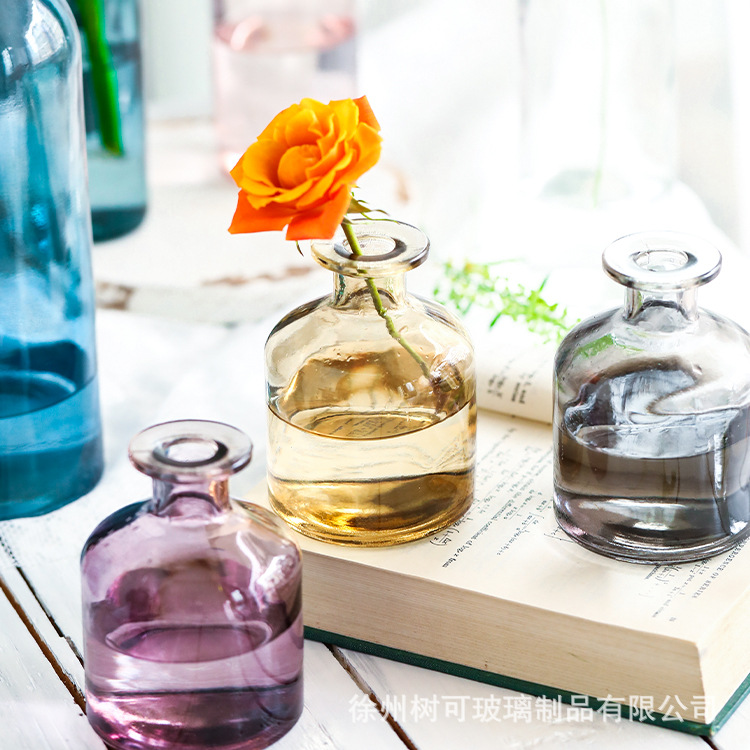 Wholesale of Nordic transparent glass vases, small-mouthed hydroponic fresh flower tables, dried flowers, colored flower arrangement vessels and decorative ornaments details Picture