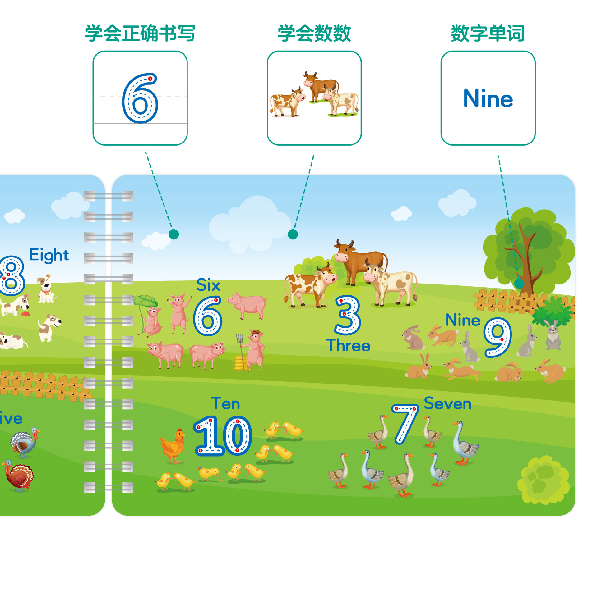 其他益智玩具实物图