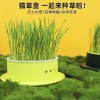 New edible cat grass seeds scientifically eliminate bad breath and supplement dietary fiber. Direct supply from cat snack manufacturers Specification image