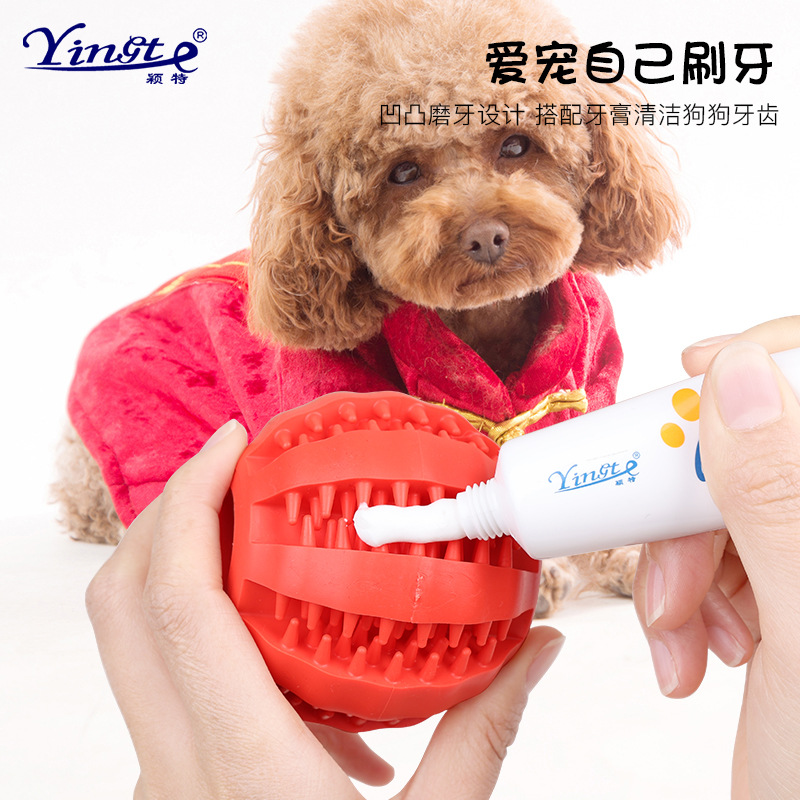 Pet Toy Dog Toy Watermelon Ball Bite Resistant Clean Tooth Leakage Ball Chew Dog Bite Toy Teething Ball details Picture