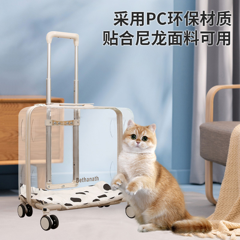 import产品图