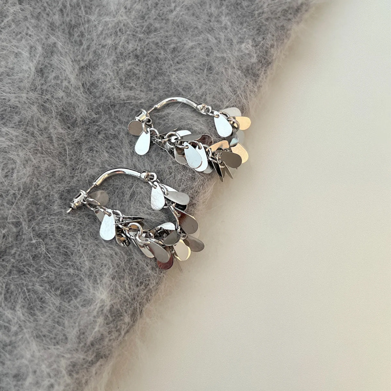 A new, trendy, light luxury, exquisite and high-end women's earring with a unique design sense, featuring sparkling sequins and long tassels