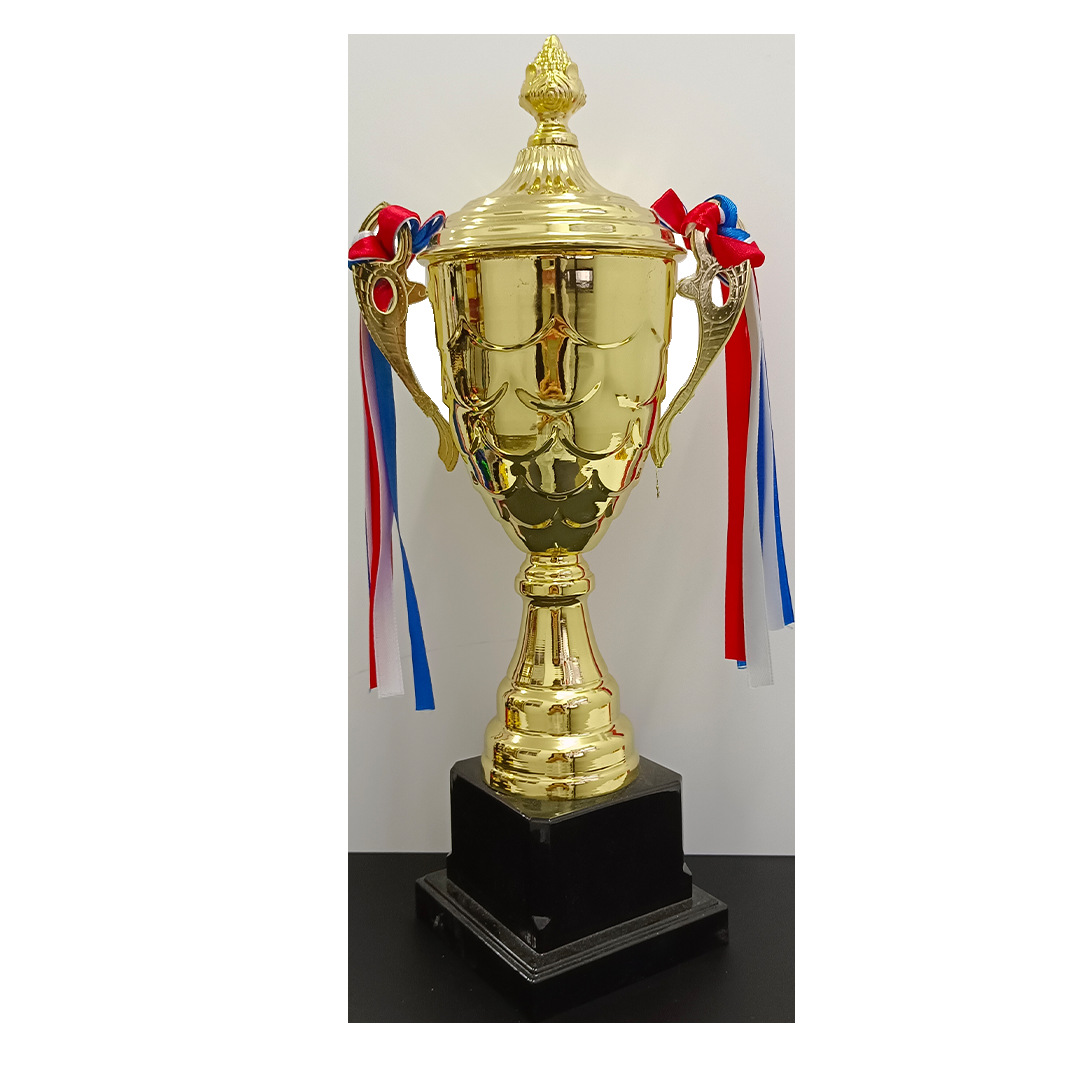 Metal trophies are made for taekwondo running, basketball and football competition award gifts, honor sports meeting trophies and engraving Item Picture