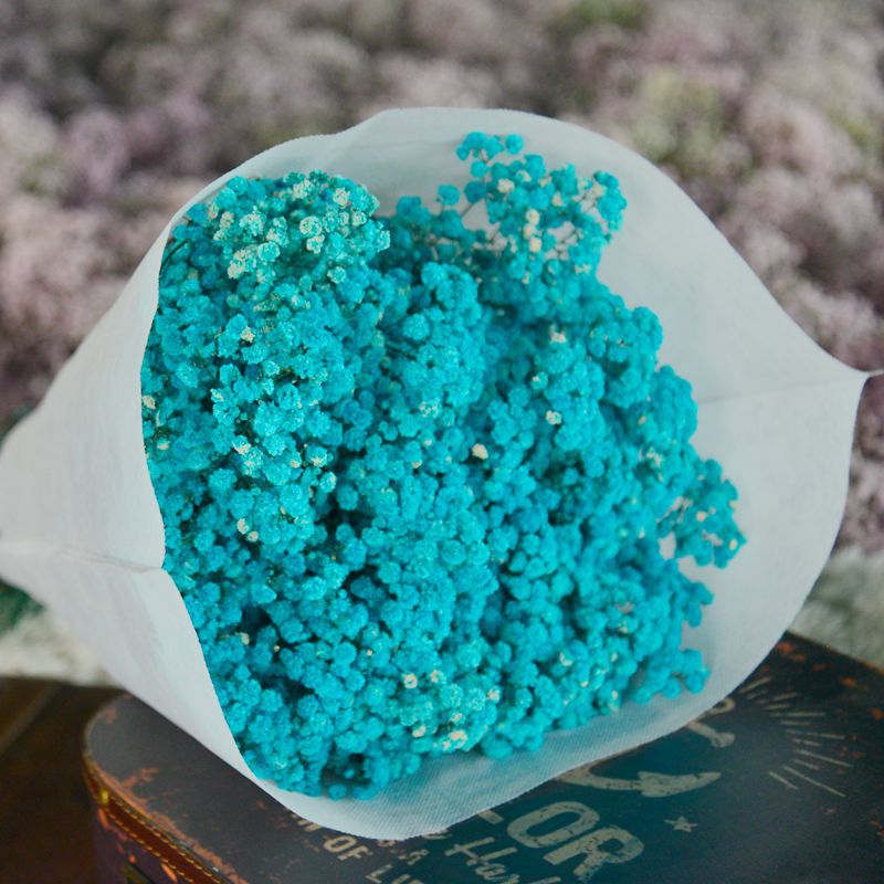 云南永生满天/满天星干花批/永生满天星批细节图