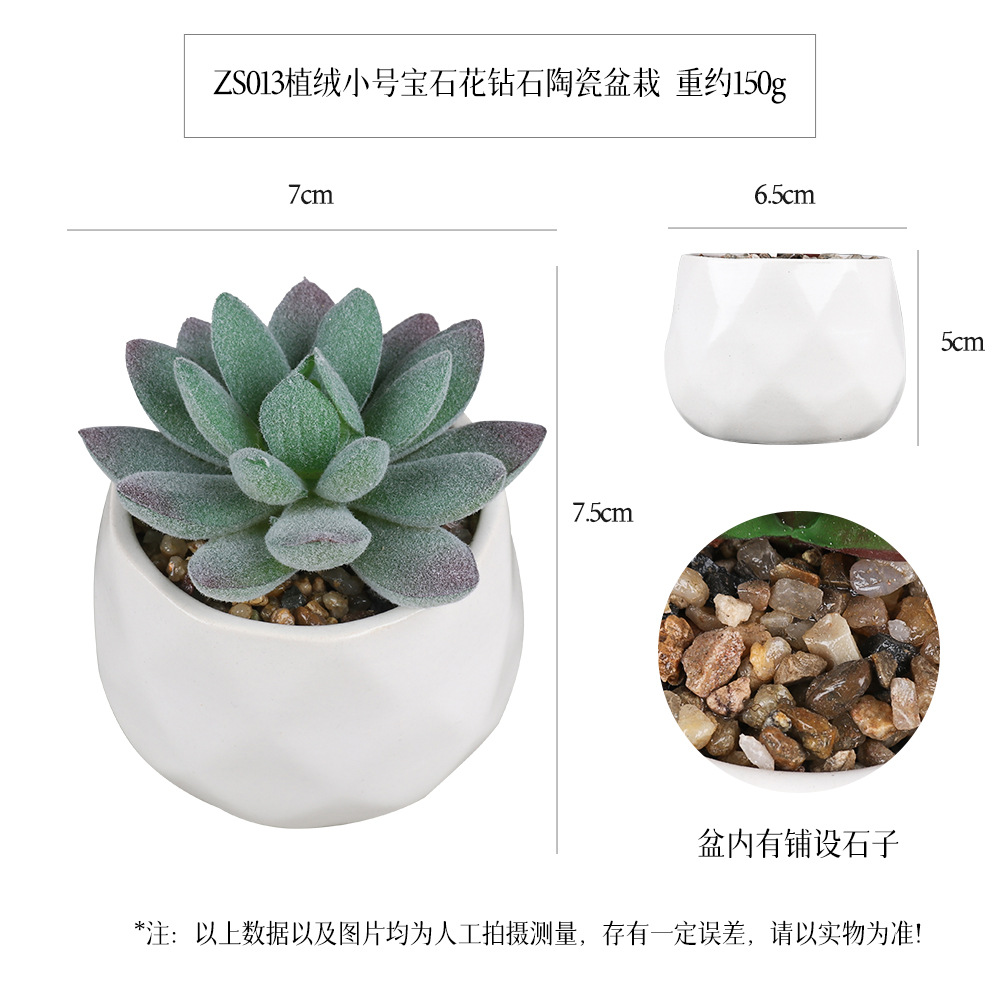 Amazon Simulation Succulent Ceramic Pot 6-piece Home Decoration simulation plant succulent bonsai set Specification image