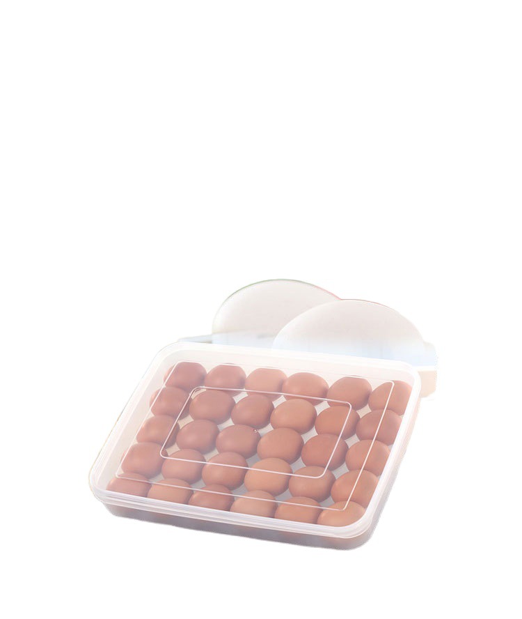 简约款鸡蛋盒/塑料食物保鲜白底实物图