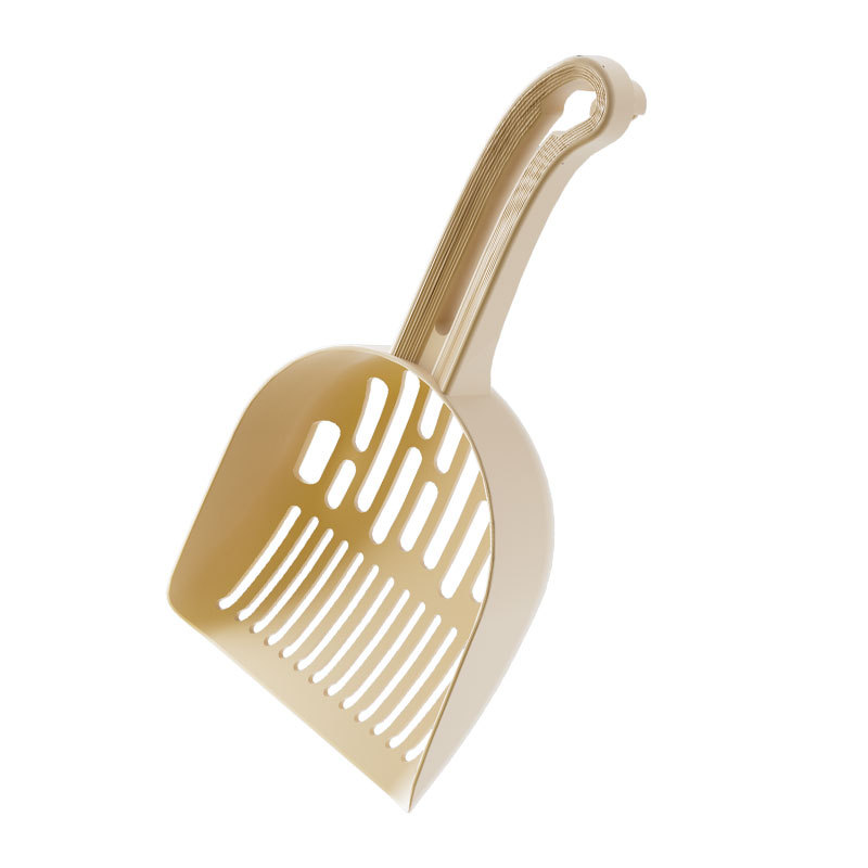 import白底实物图