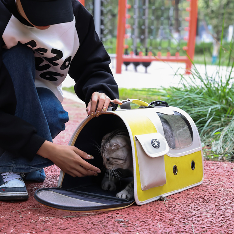 Pet handbag, suitable for all seasons, large-capacity portable cat bag, simple and breathable handbag, travel bag Application Scenario
