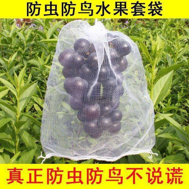 Insect-proof, breathable, bird-proof, bagged, mesh bag, figs, berries, melons, blueberries, fruit net, free shipping wholesale