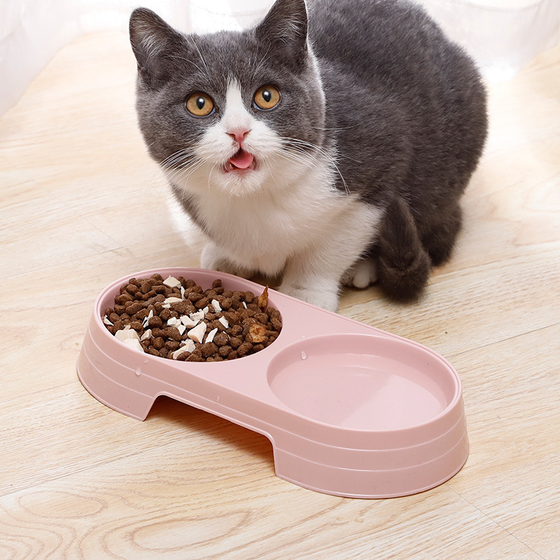 Pet feeding bowl Macron color simple wind oval pet double bowl durable environmental protection against upset dog food bowl Application Scenario