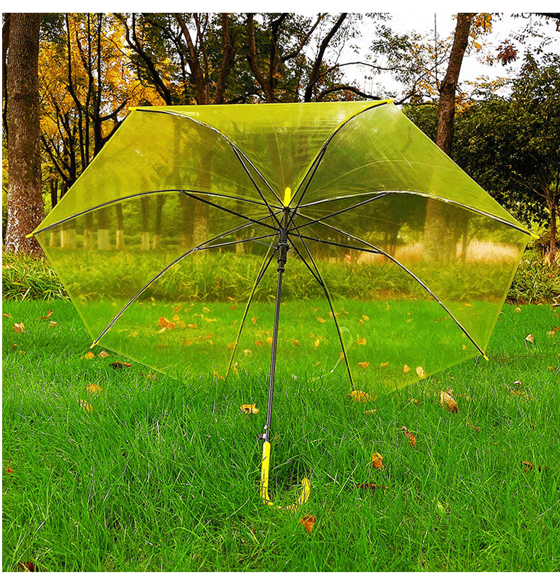 直杆长柄透明细节图