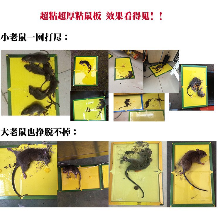 老鼠夹/蚊香液/老鼠夹塑料/捕鼠夹/粘鼠板白底实物图