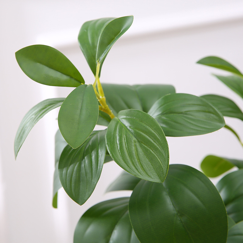 新款仿真植物细节图