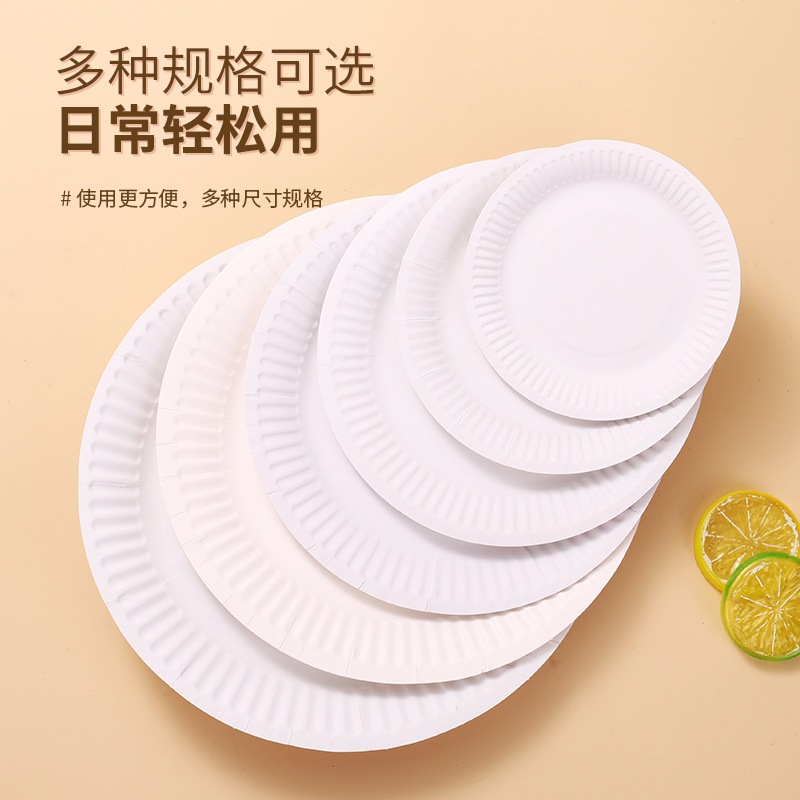 White Disposable Paper Plate Cross Overseas Pallet Trade Children's Handmade Diy Paper Plate Can Degrade 7