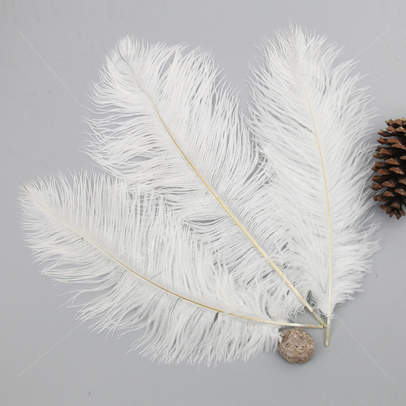 羽毛/天然珍珠/家饰装饰品/人造孔雀羽毛/室内装饰细节图