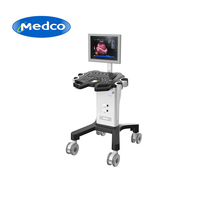 Cross-border exclusive supply of DW-350 all-digital black-and-white trolley ultrasound diagnostic system trolley portable B-ultrasound machine