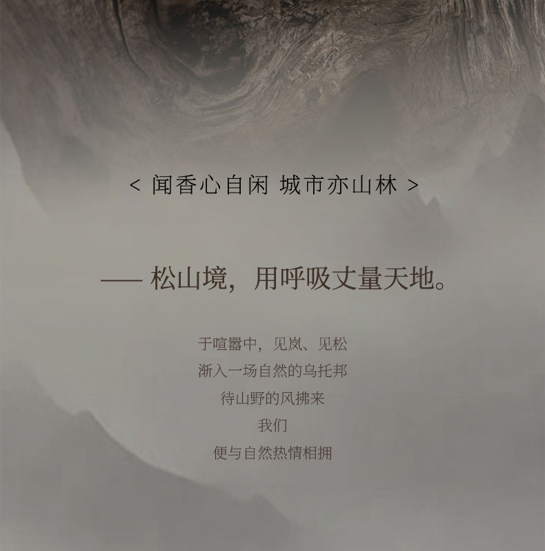 乌木玫瑰车载香薰2025新款汽车车用香水持久留香女式车内香氛详情8