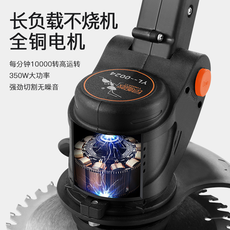 import白底实物图