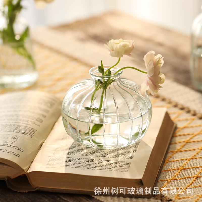 Japanese-style mini small vase, transparent glass vase, water care vase, table decoration, handicrafts, ornaments, flower vases Application Scenario