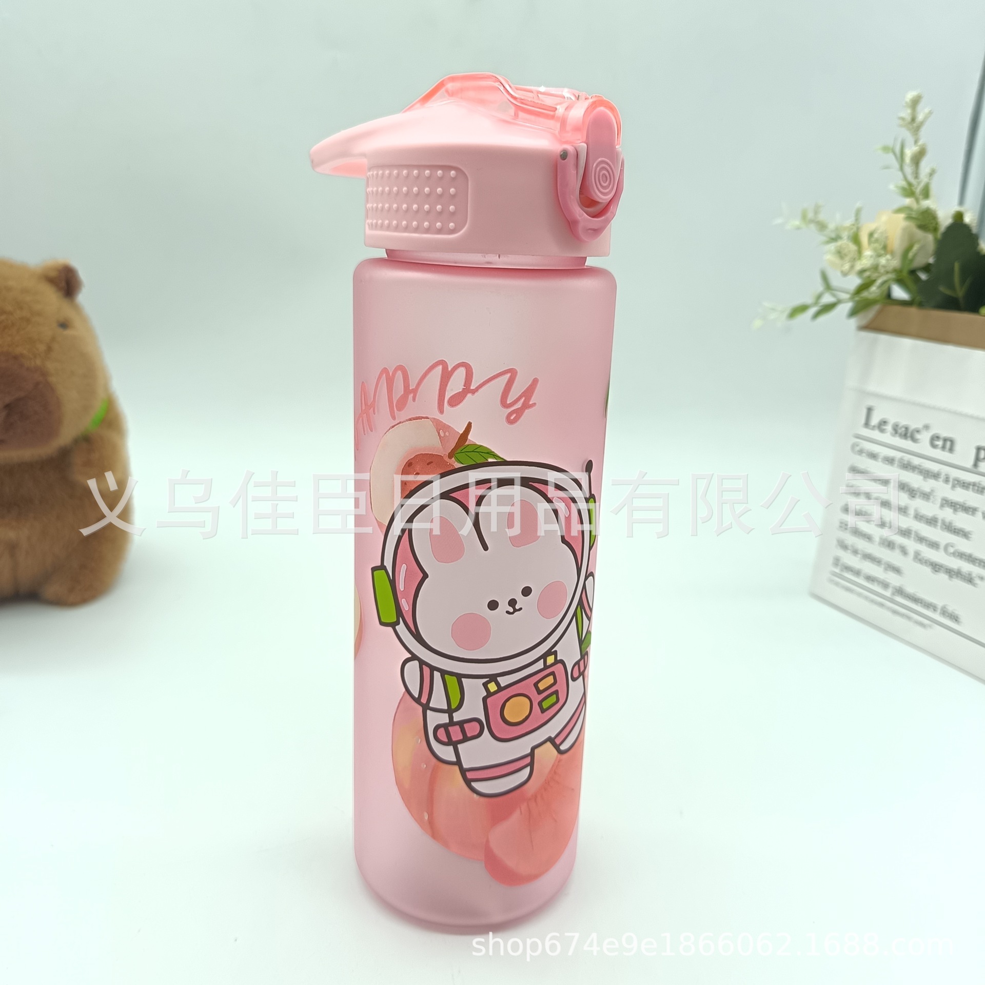 Amazon's new summer frosted, blank, cute animal and fruit pattern series of children's and students' sports water bottles Specification drawing