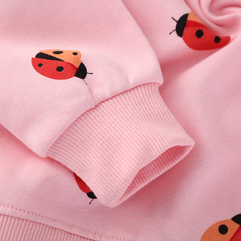 Spring and Autumn Girls' hoodie 2025 Spring and Autumn New style Children's European and American round-neck long-sleeved top, versatile top Application Scenario