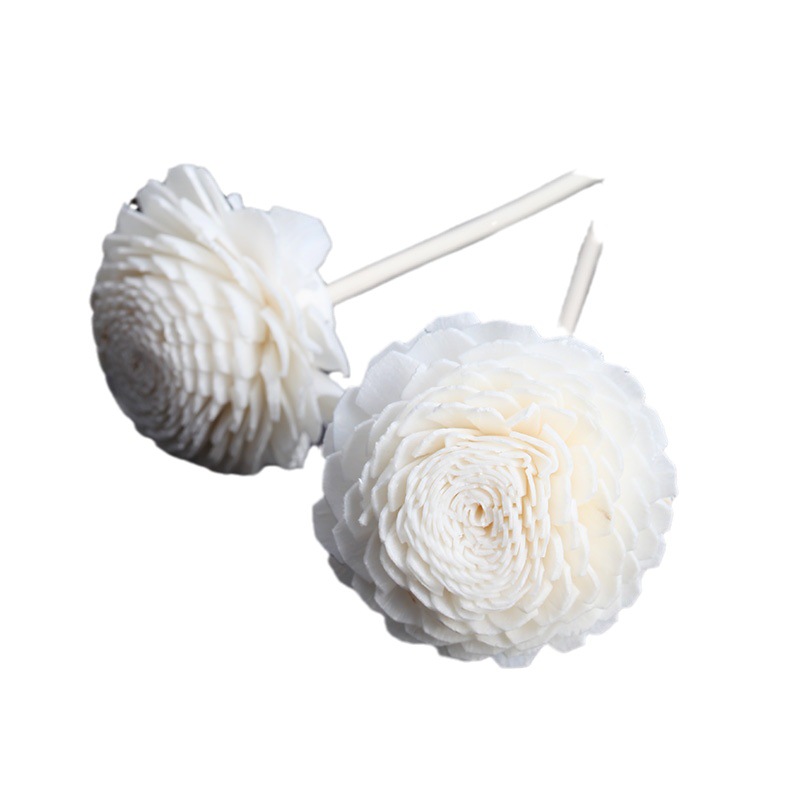 import白底实物图