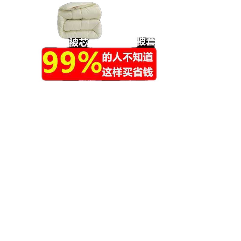 Quilt 4 piece set Student dormitory single 3 piece set double quilt core Spring and autumn quilt thickened winter quilt air conditioner quilt Item Picture
