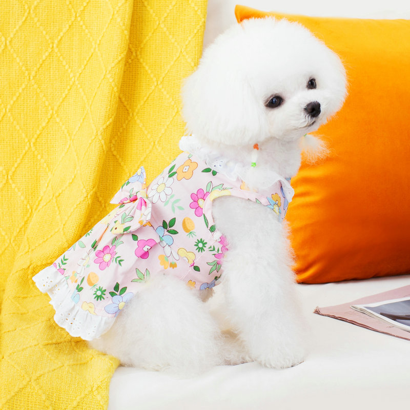狗衣服细节图
