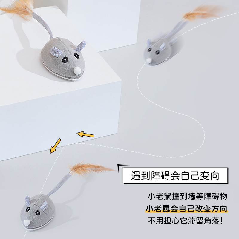 猫猫玩具实物图