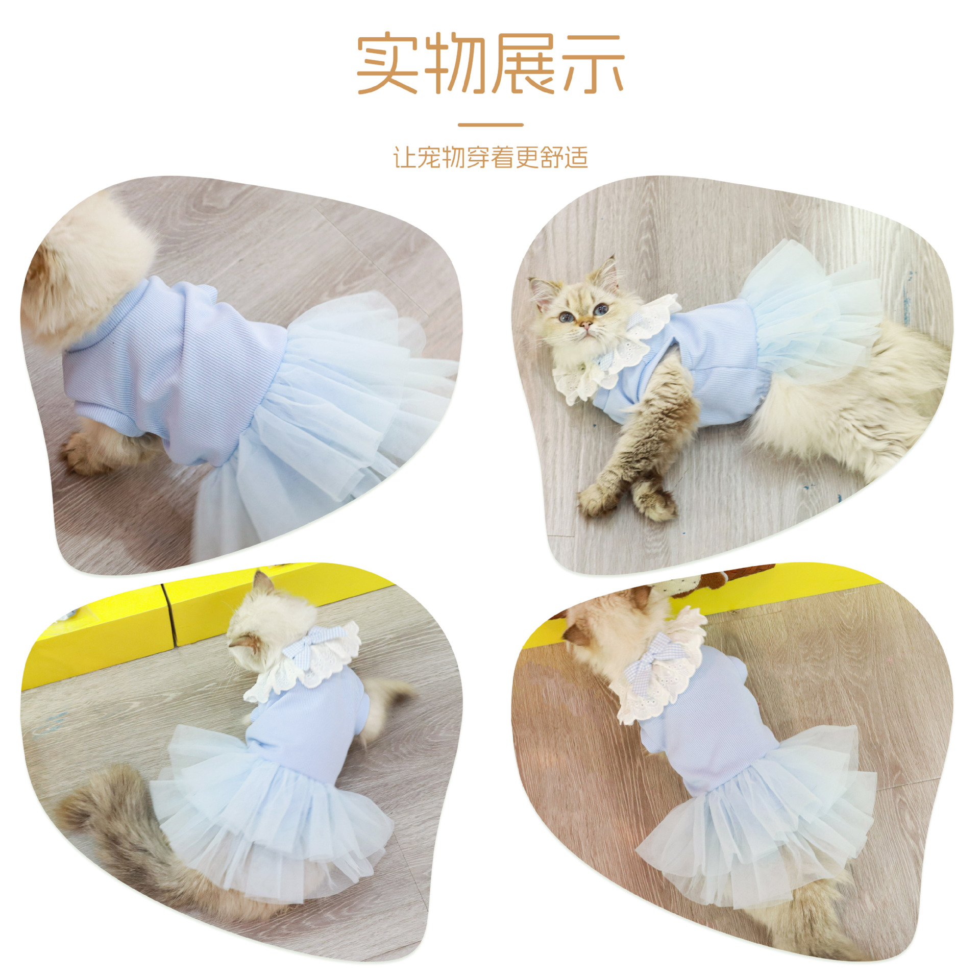 宠物衣服/服饰/宠物服饰/宠物衣服搞笑/宠物狗狗衣服细节图