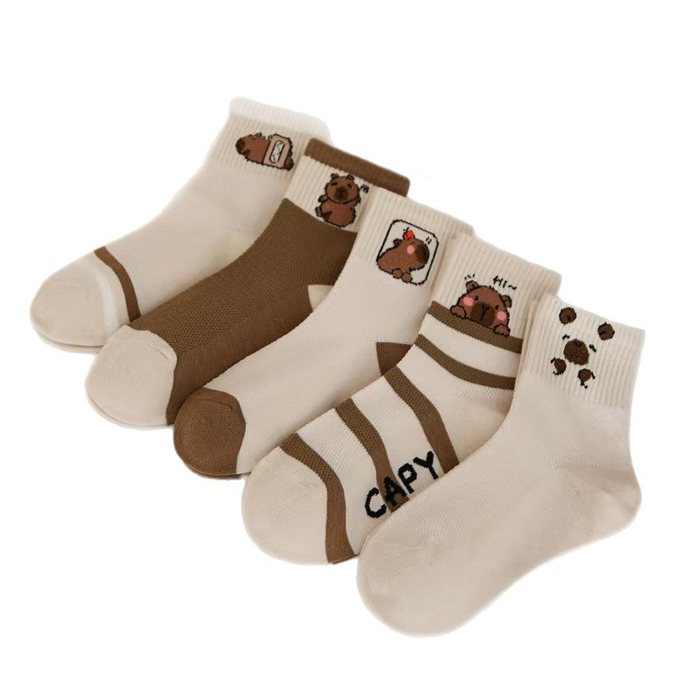 import白底实物图