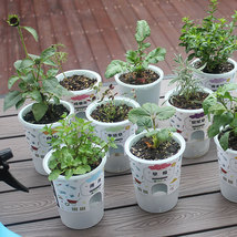 跨境爆款新款迷你植物小盆栽幼儿园儿童DIY种植草头植物发芽盆栽
