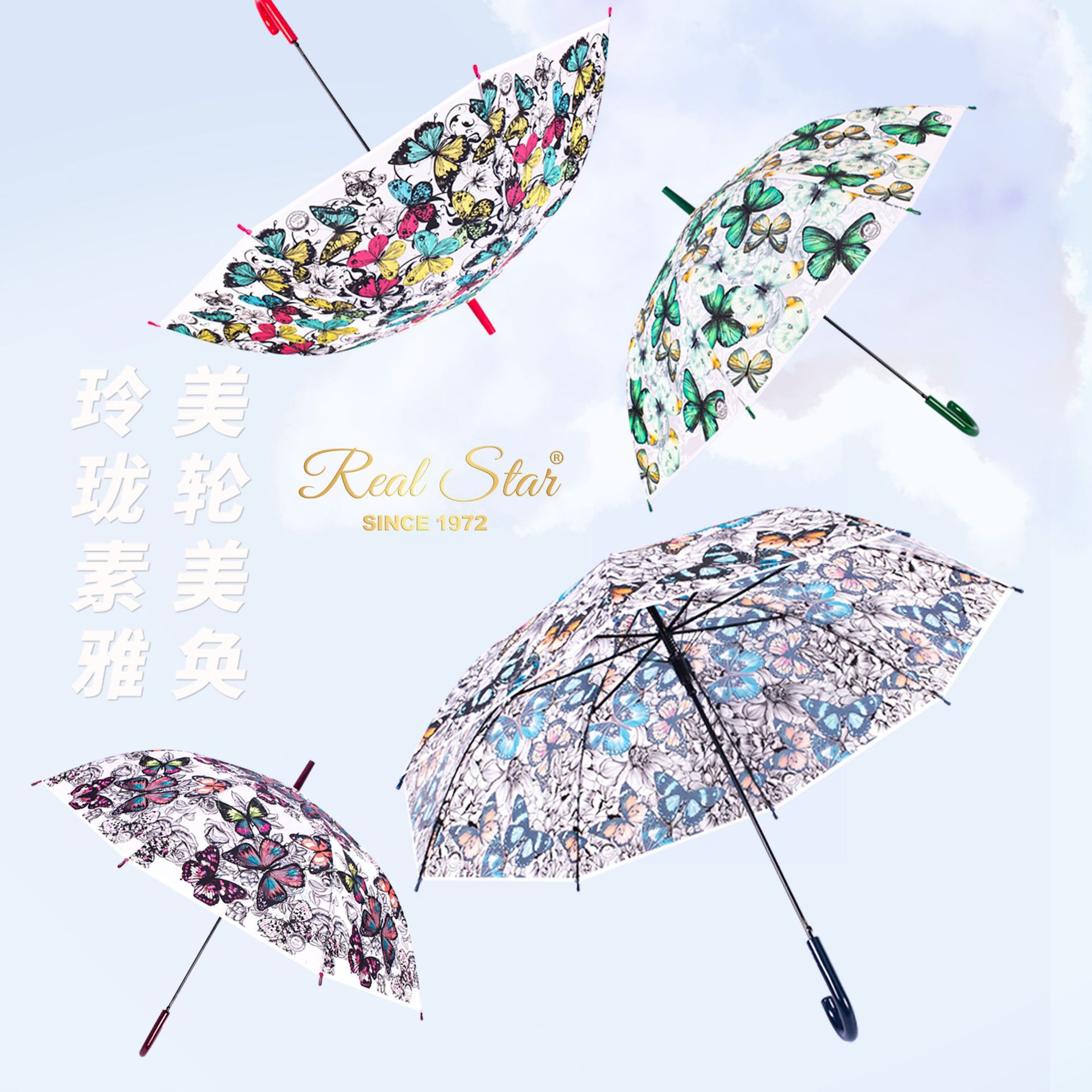 雨伞实物图