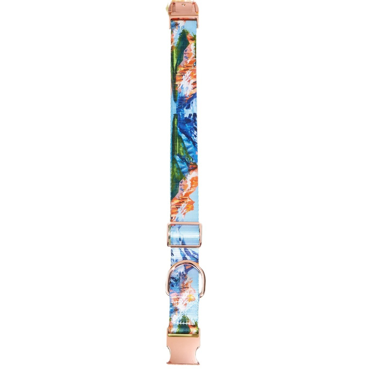 宠物项圈/宠物服装用品/宠物围脖/狗环/宠物梳白底实物图
