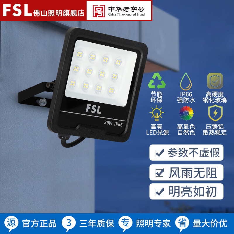 Fsl Foshan Lighting Led Floodlight Outdoor Floodlight Ip66 Waterproof And Dustproof Outdoor Patio Floodlight