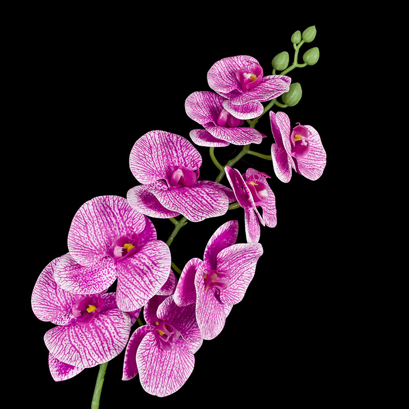 3D Series 9 3D Phalaenopsis Wedding Road Lead Home Artificial Flower Decoration Application Scenario