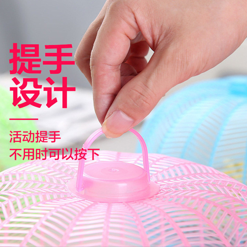 食物罩实物图