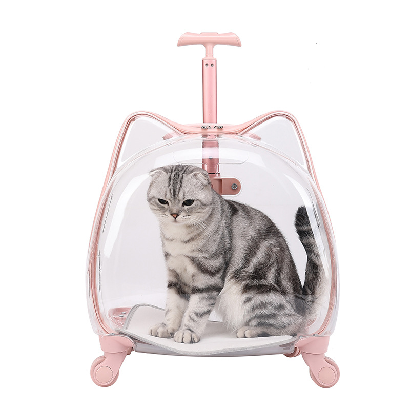 Wholesale of new pet trolley cases, portable fully transparent pet cases, breathable space cat bags, and outdoor trolley cases
